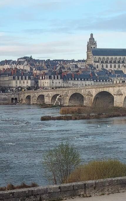 דירות בלואה Charme De Loire Vue Sur La Loire - Charm Of Loire Overlooking Loire מראה חיצוני תמונה