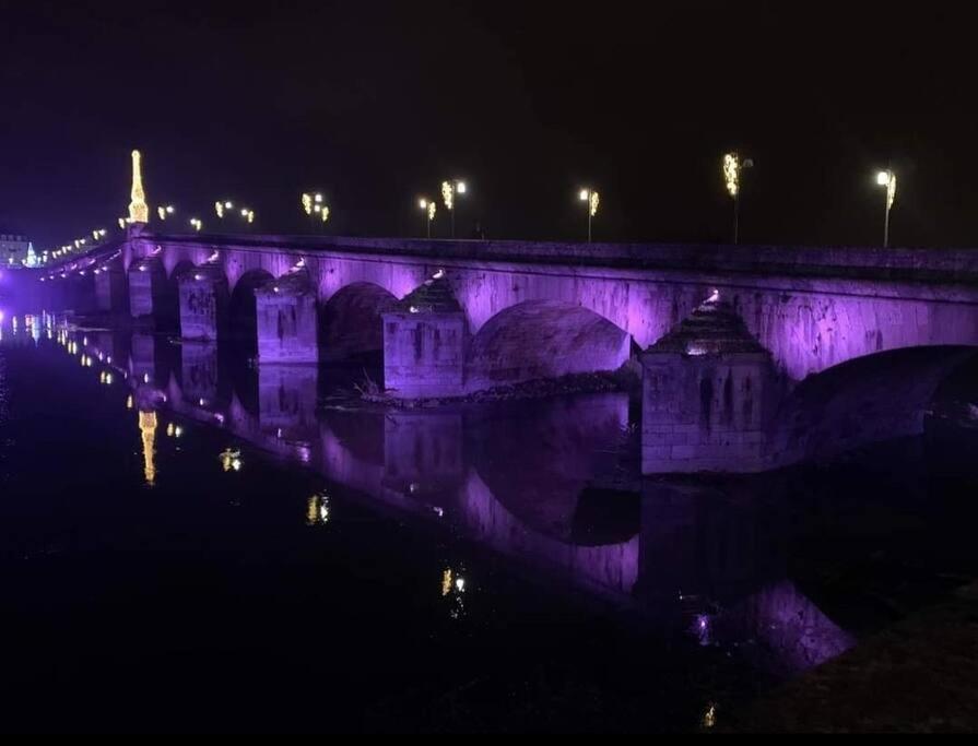 דירות בלואה Charme De Loire Vue Sur La Loire - Charm Of Loire Overlooking Loire מראה חיצוני תמונה